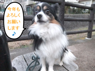BlogPaint