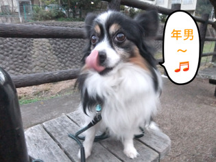 BlogPaint