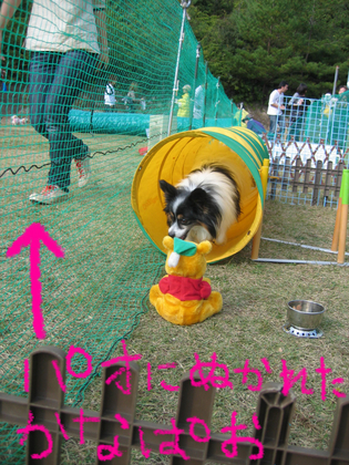 BlogPaint