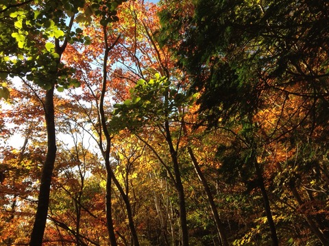 2015-10-18-06-52-52