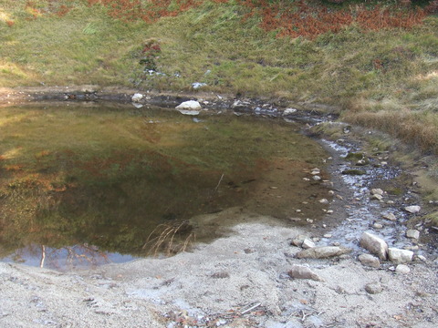 DSCF5262