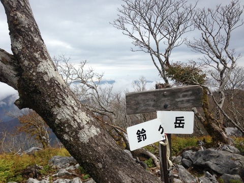 2015-11-07-11-01-53
