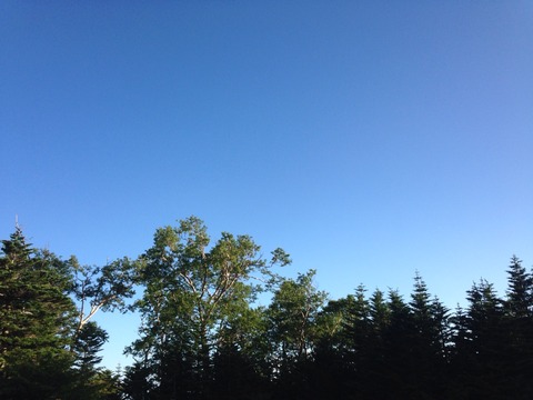 2015-08-15-06-15-22
