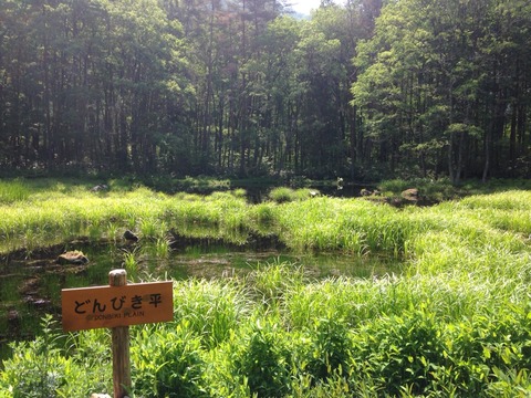 2015-06-13-09-40-00