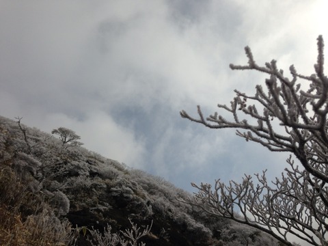 2014-12-30-10-52-56