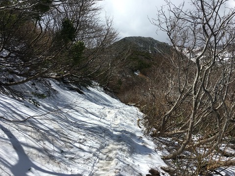2016-04-30-09-54-37