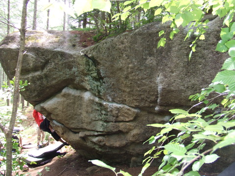 DSCF3697