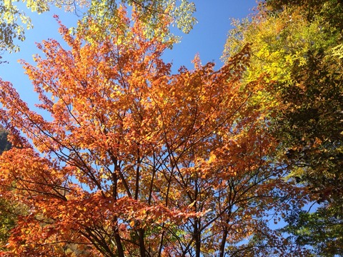 2015-10-18-12-26-18
