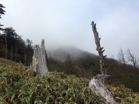 2015-05-03-07-01-40