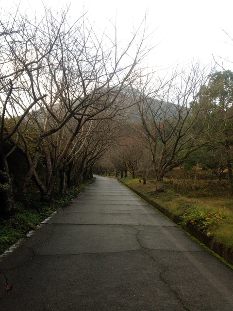 2014-12-29-08-03-57