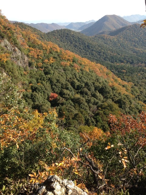 2014-11-24-09-44-02