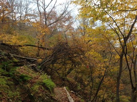 2015-11-07-15-40-09