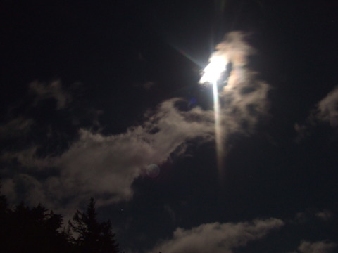 DSCF3992