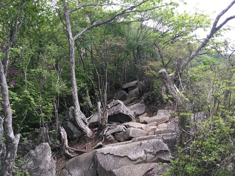 2016-05-28-06-32-28