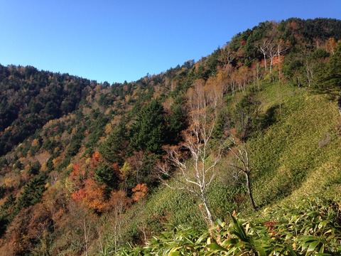 2015-10-18-08-04-45