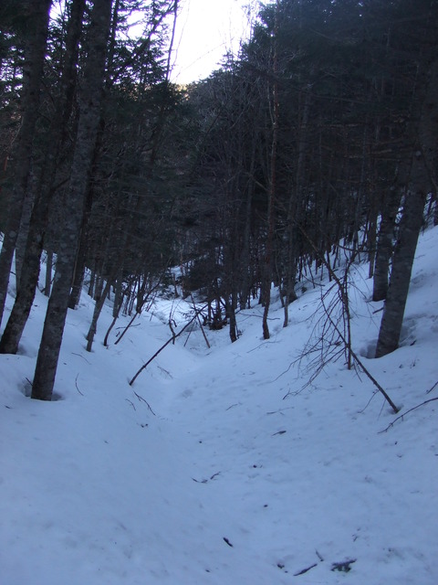 DSCF4689