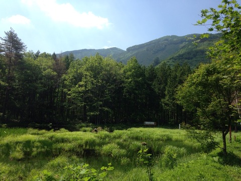 2015-06-13-09-38-59