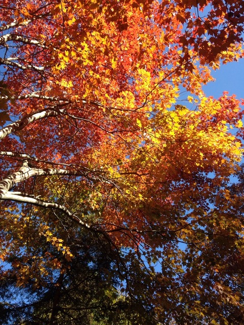 2015-10-18-11-18-13