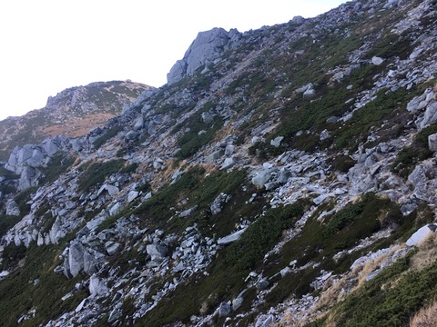 2016-10-10-06-53-53
