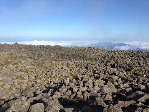 2015-08-15-07-00-36