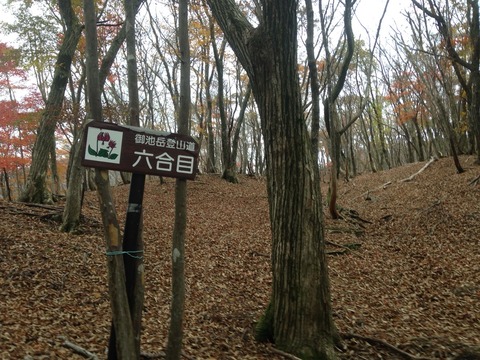 2015-11-07-15-10-17
