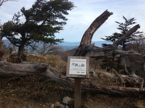 2015-05-03-07-02-35
