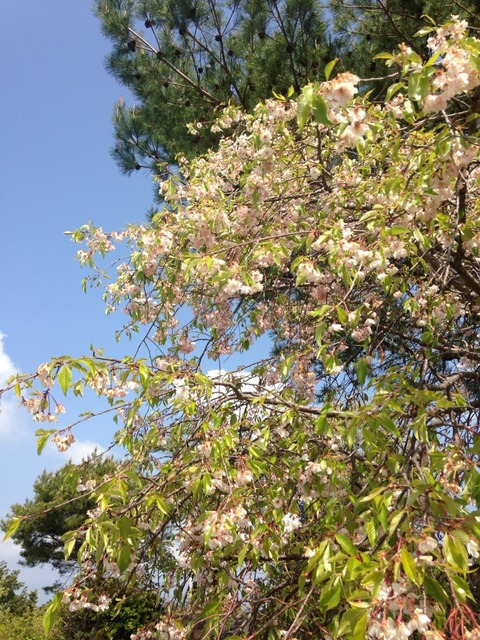 2014-04-27-09-44-17