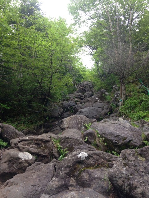 2014-07-13-06-28-45