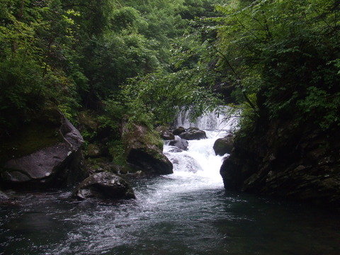 DSCF3753