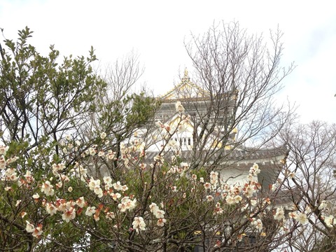 2015-03-22-09-23-42
