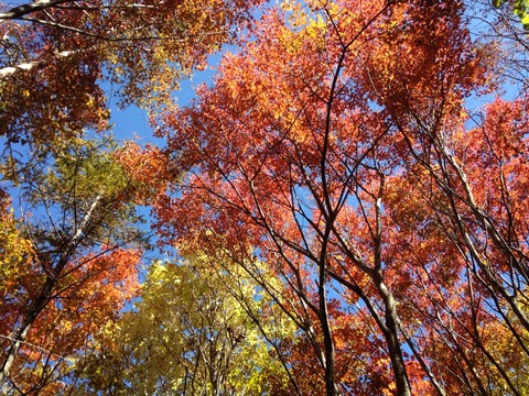 2015-10-18-11-26-03