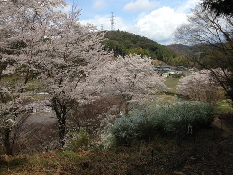 2014-04-06-12-23-43