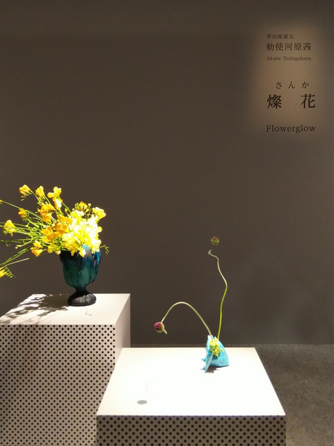 19-04-15-20-43-38-343_deco