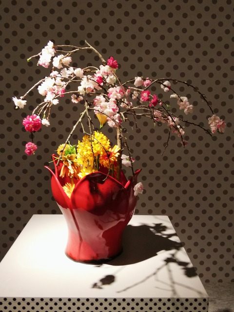 19-04-15-20-44-07-914_deco