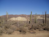 BAJA8