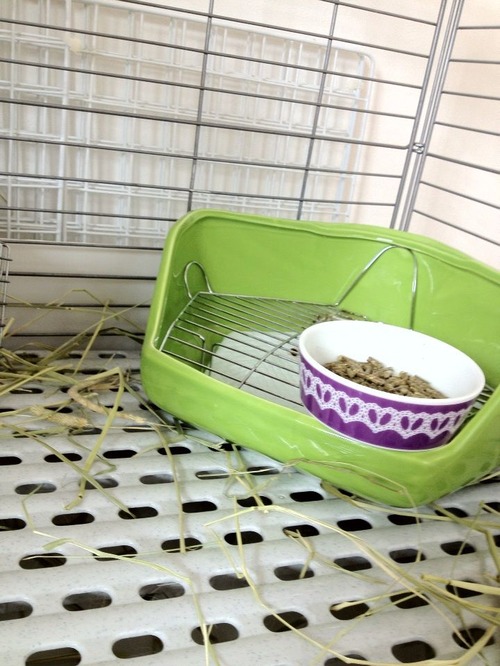 2012-09-06 14:10:07 写真3