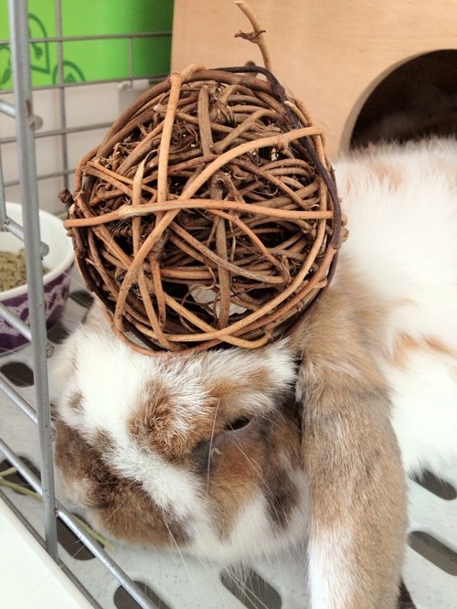 2012-09-06 14:10:07 写真5