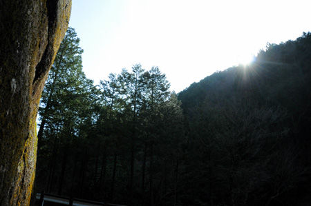 2015sp_01