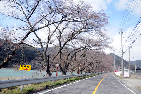 hassaka_201901