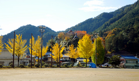 autumn_0801