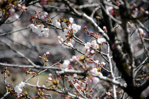 kana_0405_03