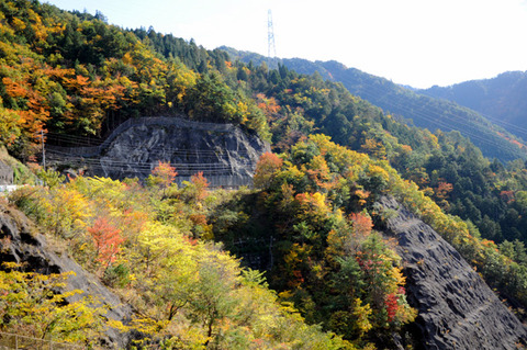 autumn_0806
