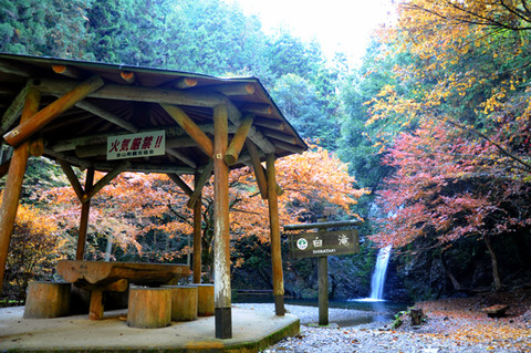 autumn_0812