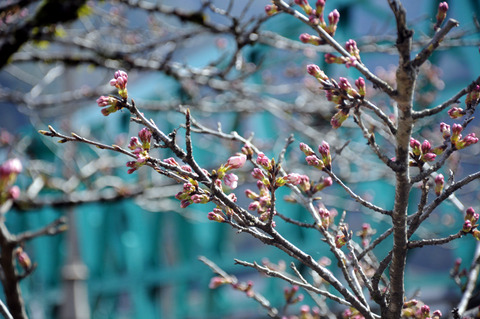 kana_0331_03