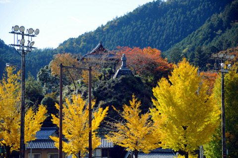 autumn_0802