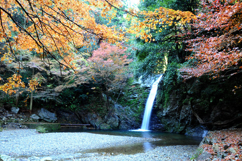 autumn_0813