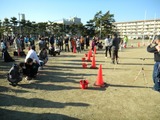 DSCN0282