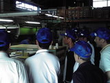 5dd875ec.JPG
