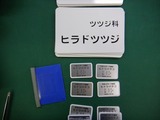 DSCN0320