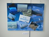 DSCF7311